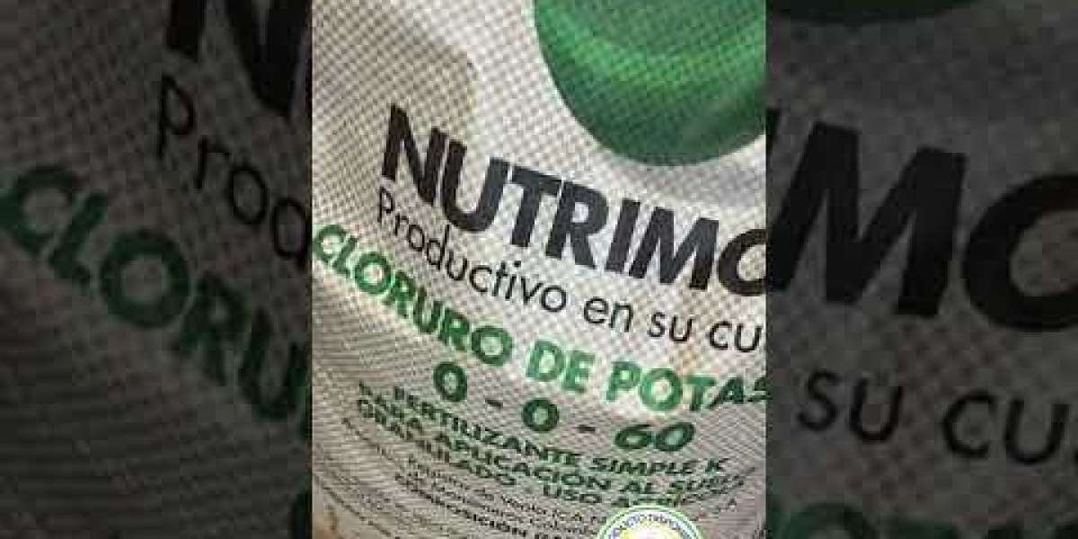 Guía Definitiva: ¿Cuándo y Cómo Incorporar el Potasio en tu Dieta?