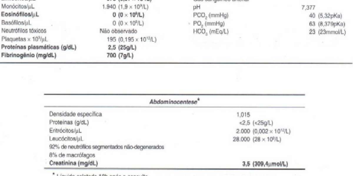 PRÉ 4 FELINO: Qualidade de Exame para Seu Gato Sem Comprometer o Orçamento